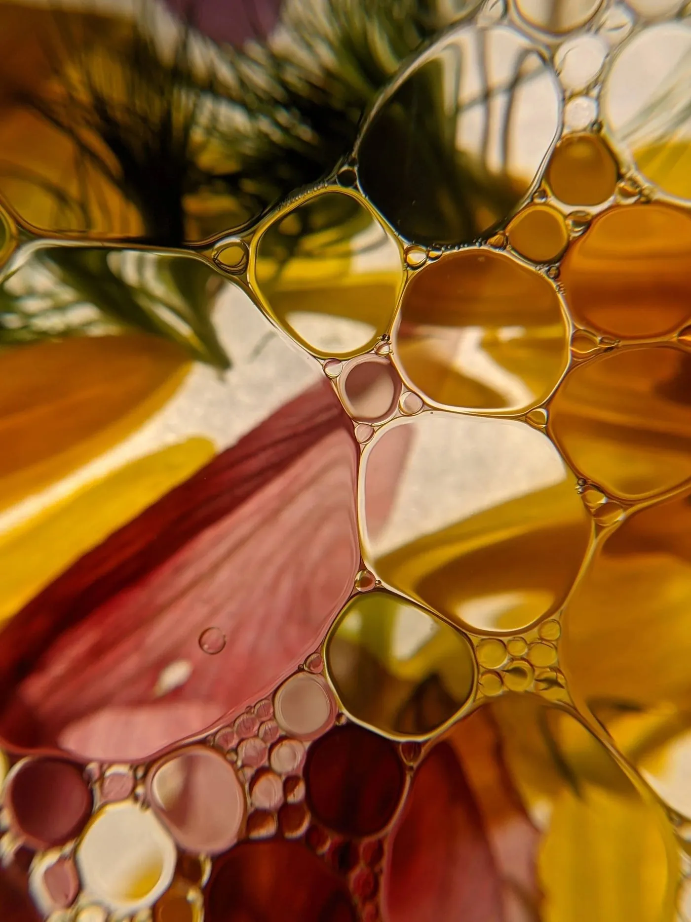 Close-up of protective oil